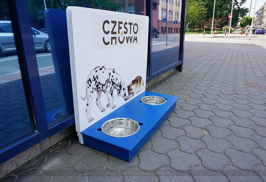 Świeża woda dla czworonogów