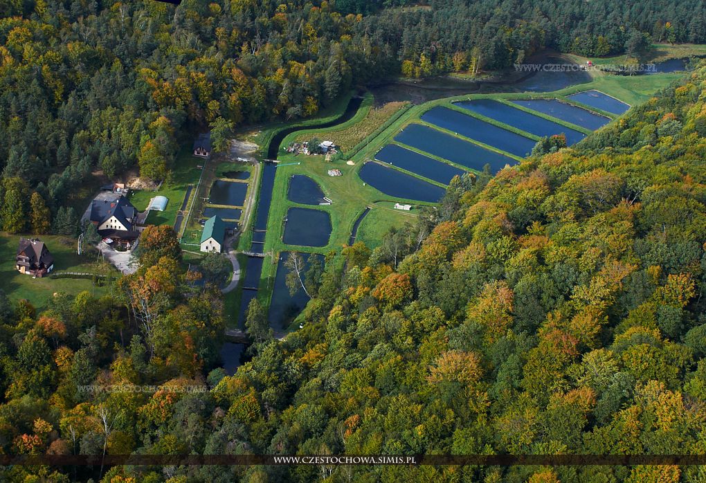 Złoty Potok - stawy hodowlane